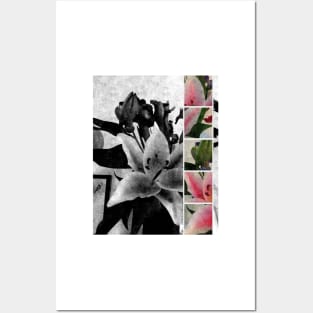 Wild Lilies Posters and Art